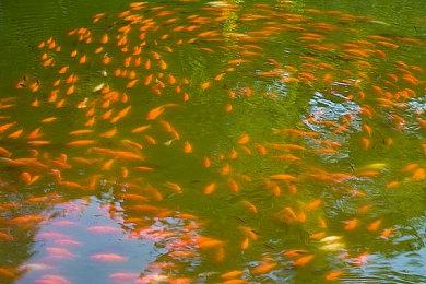 横版动作冒险游戏《Vesper》现已在Steam和GOG.com上发布