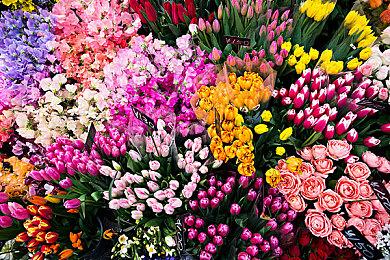 《对马岛之鬼》续作《羊蹄山之鬼》2025年发售