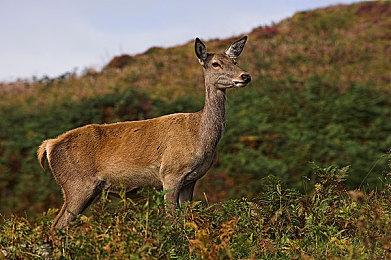 《使命召唤：现代战争3》不是新“现代战争”完结篇